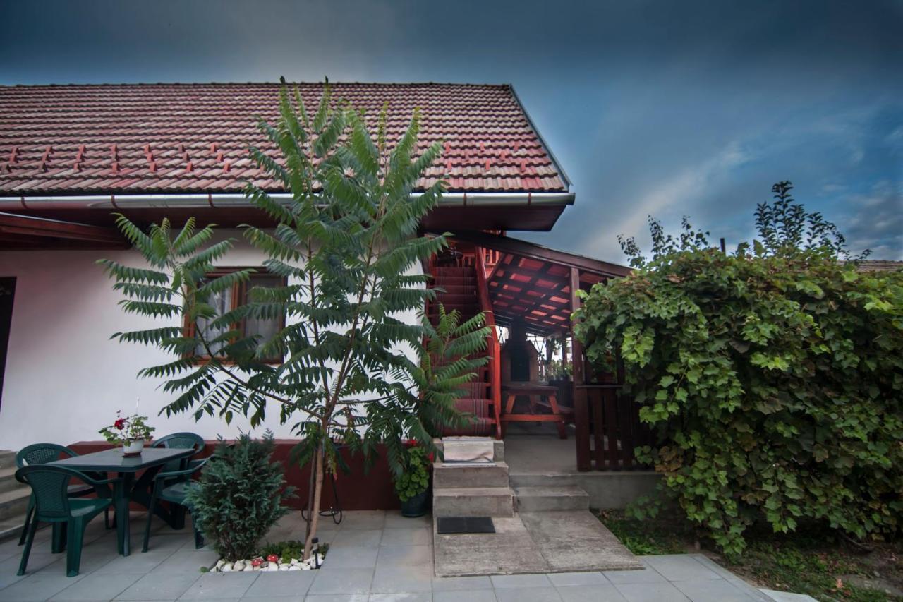 Dobra Haz Hotel Covasna Ngoại thất bức ảnh